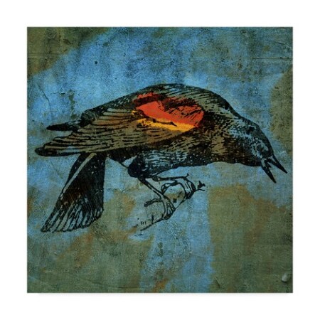 Trademark Fine Art John W. Golden 'Redwing Blackbird' Canvas Art, 14x14 ALI30617-C1414GG